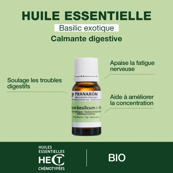Huile Essentielle Basilic exotique