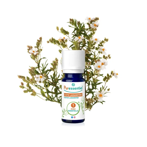 Huile Essentielle Ciste Ladanifère BIO