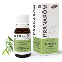 Huile Essentielle d'Eucalyptus radié - 10 ml - Bio