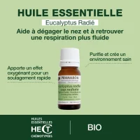 Huile Essentielle d'Eucalyptus radié