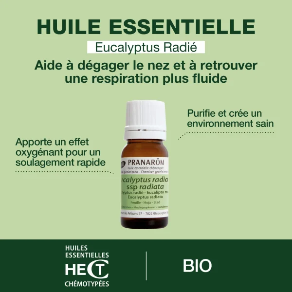 Huile Essentielle d'Eucalyptus radié