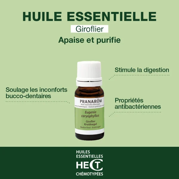 Huile Essentielle de Giroflier