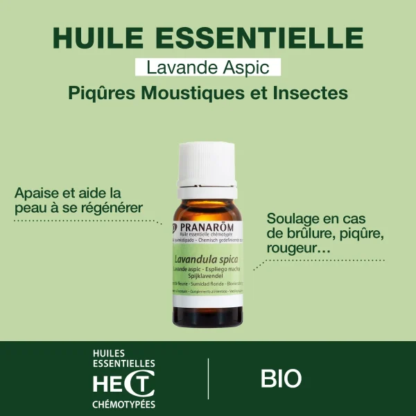 Huile Essentielle de Lavande aspic
