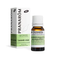 Huile Essentielle de Lavande vraie - 10 ml - Bio