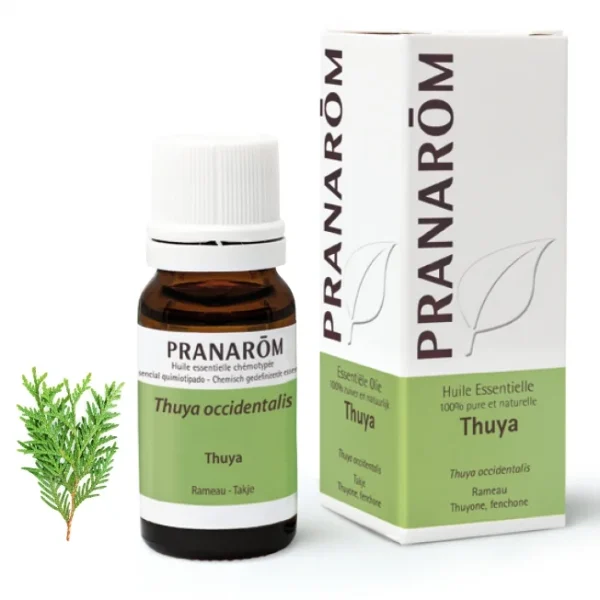 Huile Essentielle de Thuya Bio - 10ml