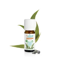 Huile Essentielle Eucalyptus Globuleux BIO - 10 ml