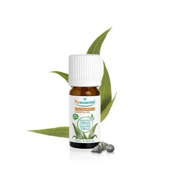 Huile Essentielle Eucalyptus Globuleux BIO - 10 ml