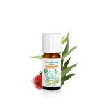 Huile Essentielle Eucalyptus Radié BIO - 10 ml