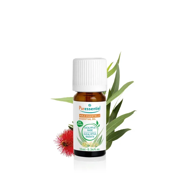 Huile Essentielle Eucalyptus Radié BIO - 10 ml