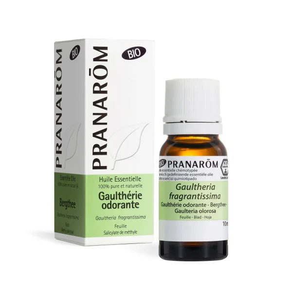 Huile Essentielle Gaulthérie odorante - 10 ml - Bio