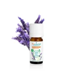 Huile Essentielle Lavande Vraie BIO - 10 ml