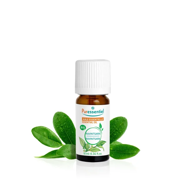 Huile Essentielle Ravintsara BIO 10 ml