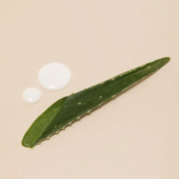 Lait-Crème Fluide+