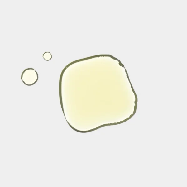 Sérum Anti-âge Visage