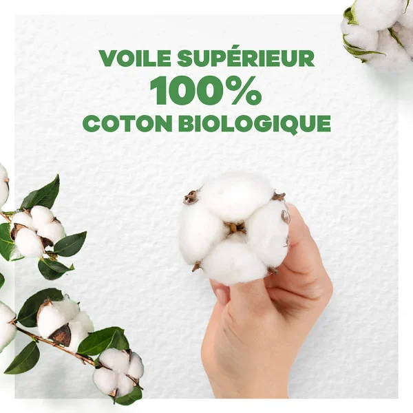 Serviettes Hygiéniques Normal