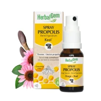 Spray Propolis Large Spectre - 15ml spray