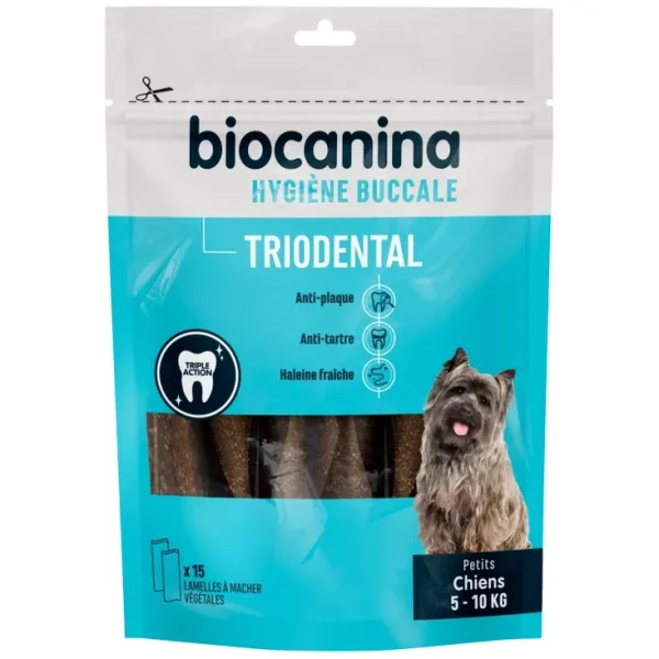 Triodental Petits chiens