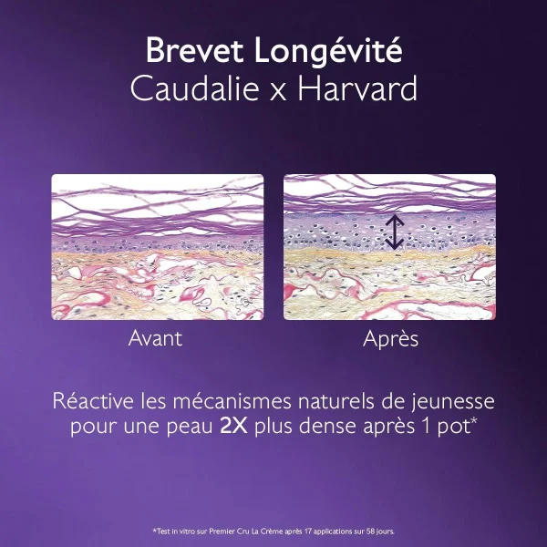 Caudalie Premier Cru - La Crème - Image 7 Caudalie Premier Cru - La Crème