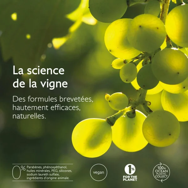 Caudalie Premier Cru - La Crème Riche - Image 10 Caudalie Premier Cru - La Crème Riche