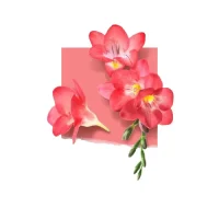 Eau de Parfum Tonka