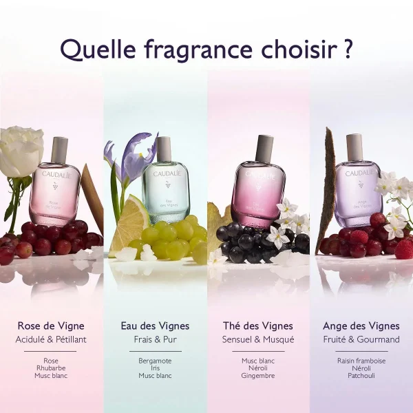 Eau Fraîche Thé des Vignes