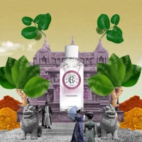 Eau Parfumée Bienfaisante Gingembre