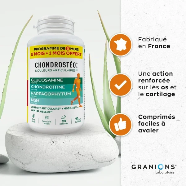 Granions Chondrostéo+