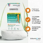 Granions Chondrostéo+