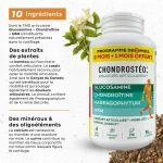 Granions Chondrostéo+