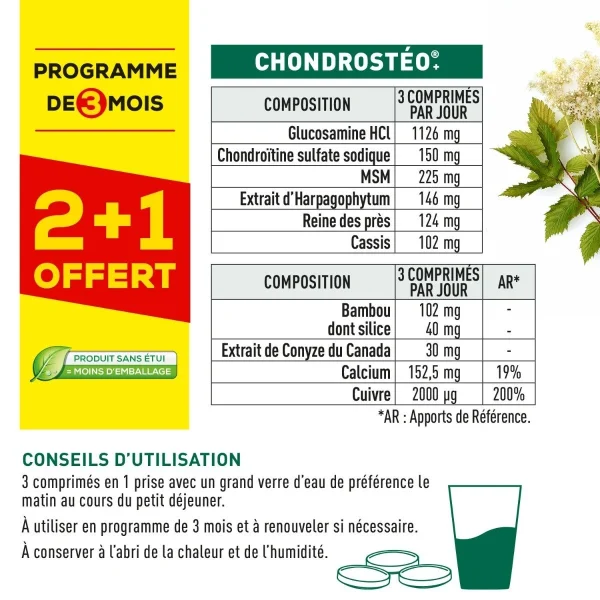 Granions Chondrostéo+