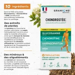Granions Chondrostéo+