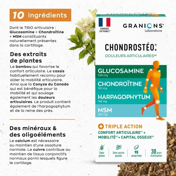 Granions Chondrostéo+