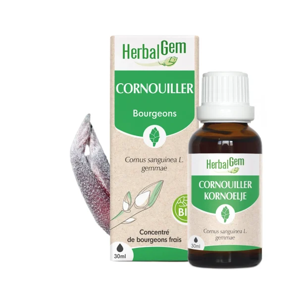 HerbalGem Bourgeon de Cornouiller - 30ml