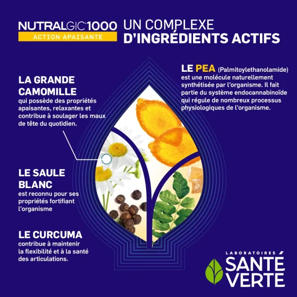 Santé Verte Nutralgic 1000