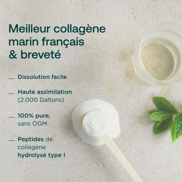 Humble+ Pur Collagène Marin