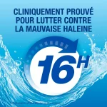 CB12 Bain de Bouche