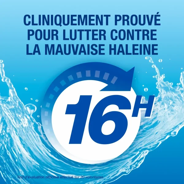 CB12 Bain de Bouche - Image 5 CB12 Bain de Bouche