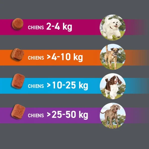 FRONTPRO 136mg Chien