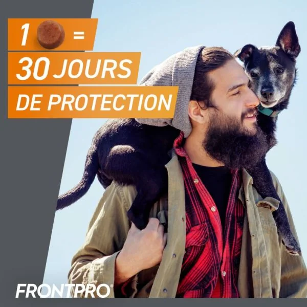 Frontpro chien 2 à 4 kg