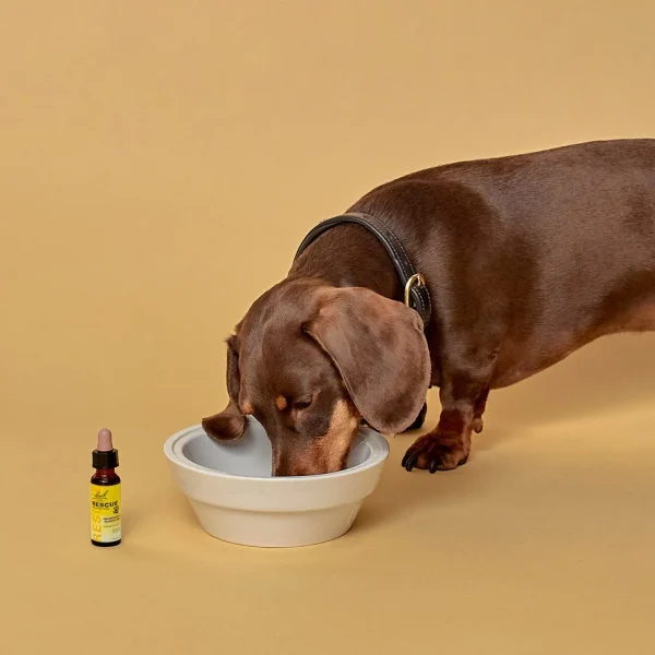 Rescue Pets Compte Gouttes