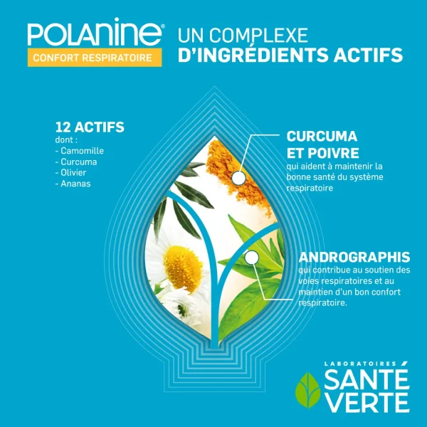 Santé Verte Polanine Confort
