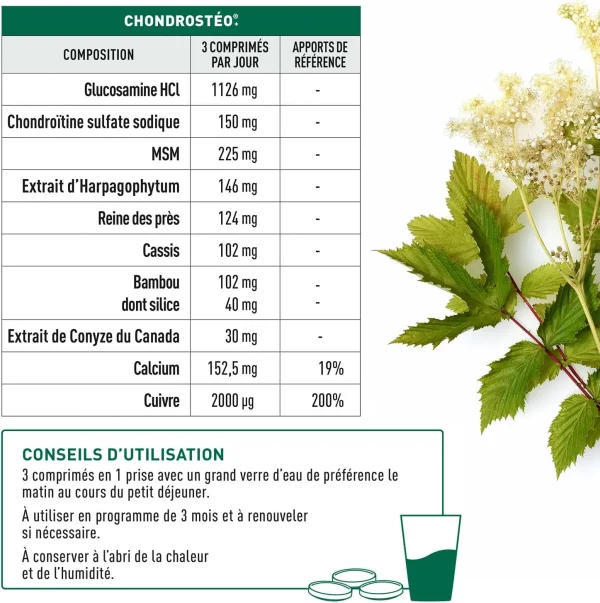 Granions Chondrostéo+ Articulations